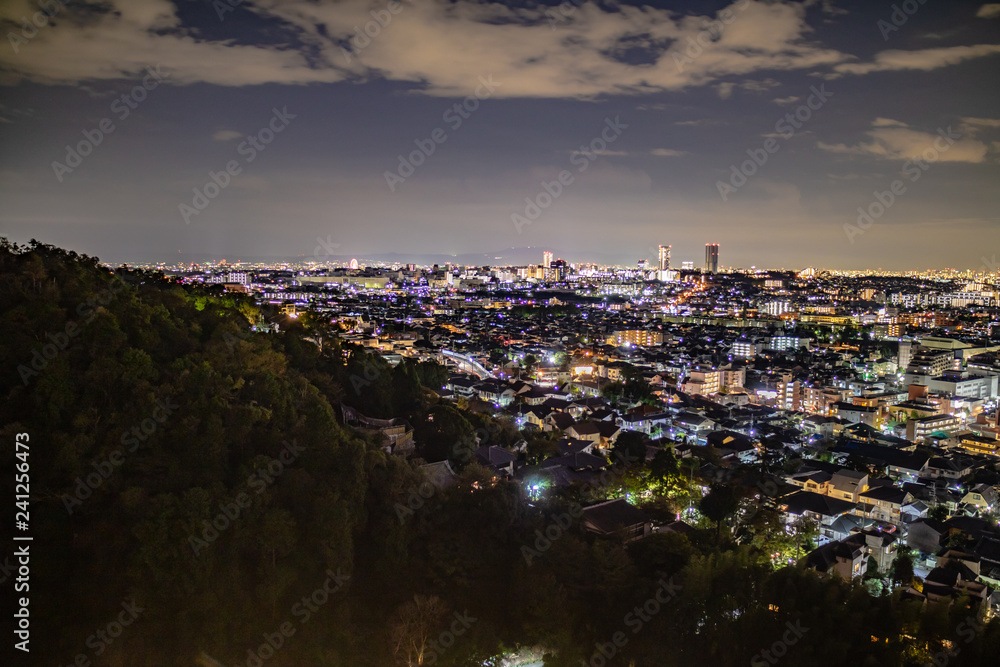 Fototapeta premium 大阪の夜景