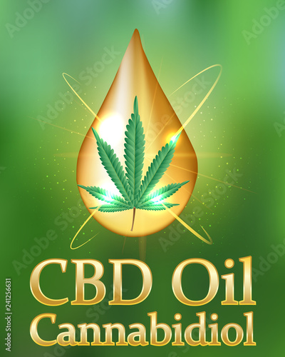 Medical Marijuana and Cannabidiol (CBD Oil)-Vector