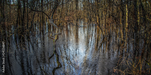 From East River Bridge