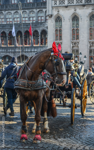 Horse cart in beautiful Bruges town, Belgium photo