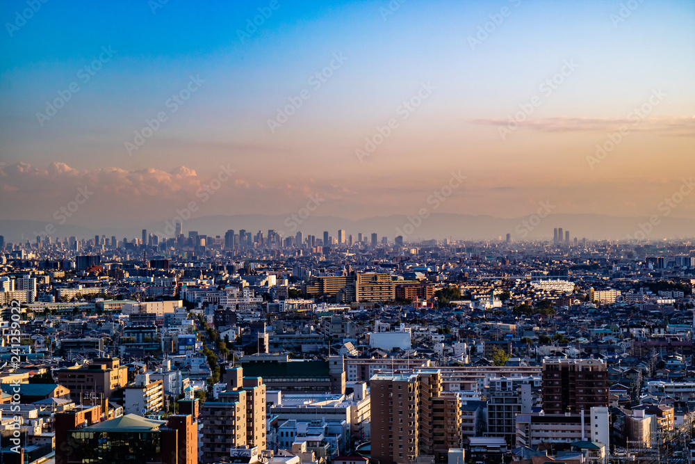 Obraz premium 大阪の街