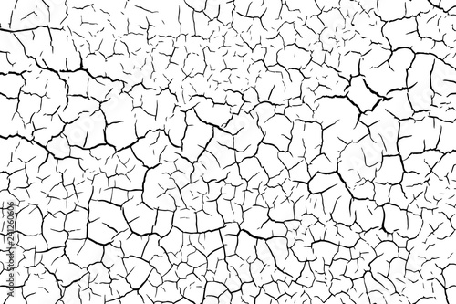 The cracks texture white and black. Vector background.Cracked earth. Structure of cracking. Cracks in dry surface soil texture. shards