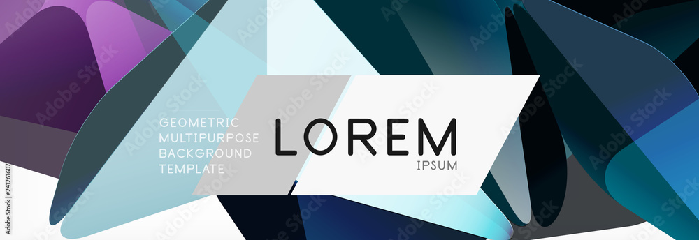 Fototapeta premium Triangle 3d polygonal art style. Future geometric design. Vector geometry futuristic illustration