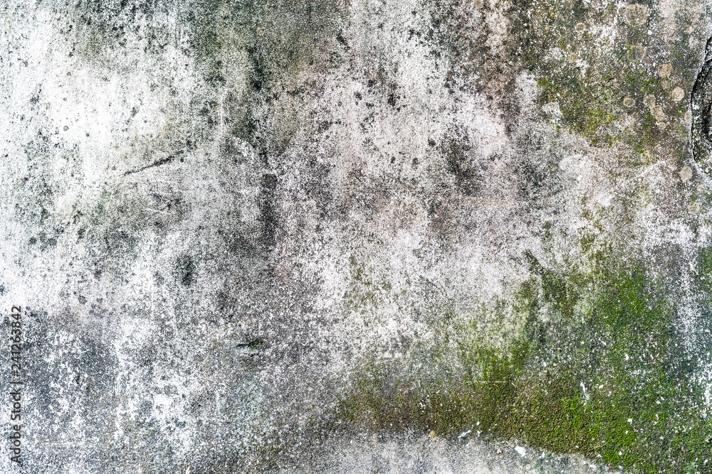 Fototapeta premium Old concrete wall with water drips and traces with moss texture. Perfect for background.