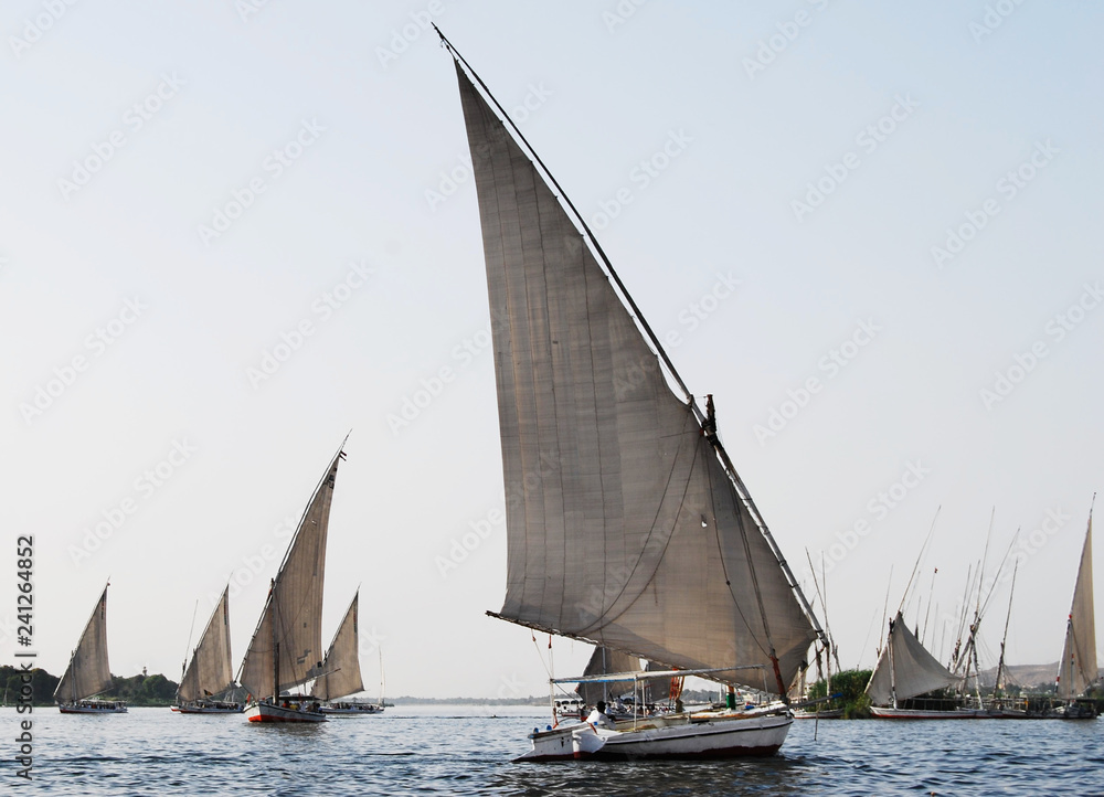 Fototapeta premium Sail boats on the Nile river in Egypt