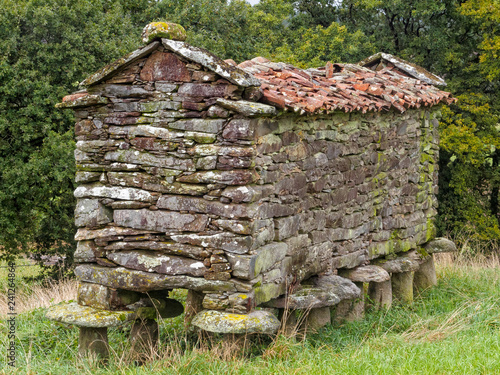 Dry-stone granary (horreo), the unofficial symbol of Galicia - Vilarserio, Galicia, Spain photo