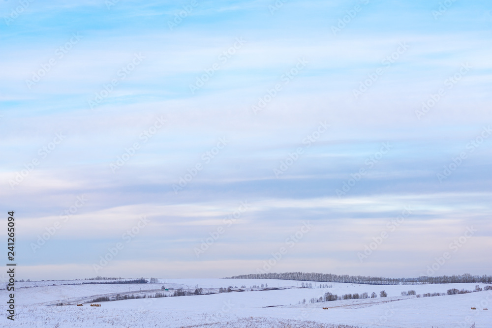 picturesque view of snow-covered forest on field at winter day 