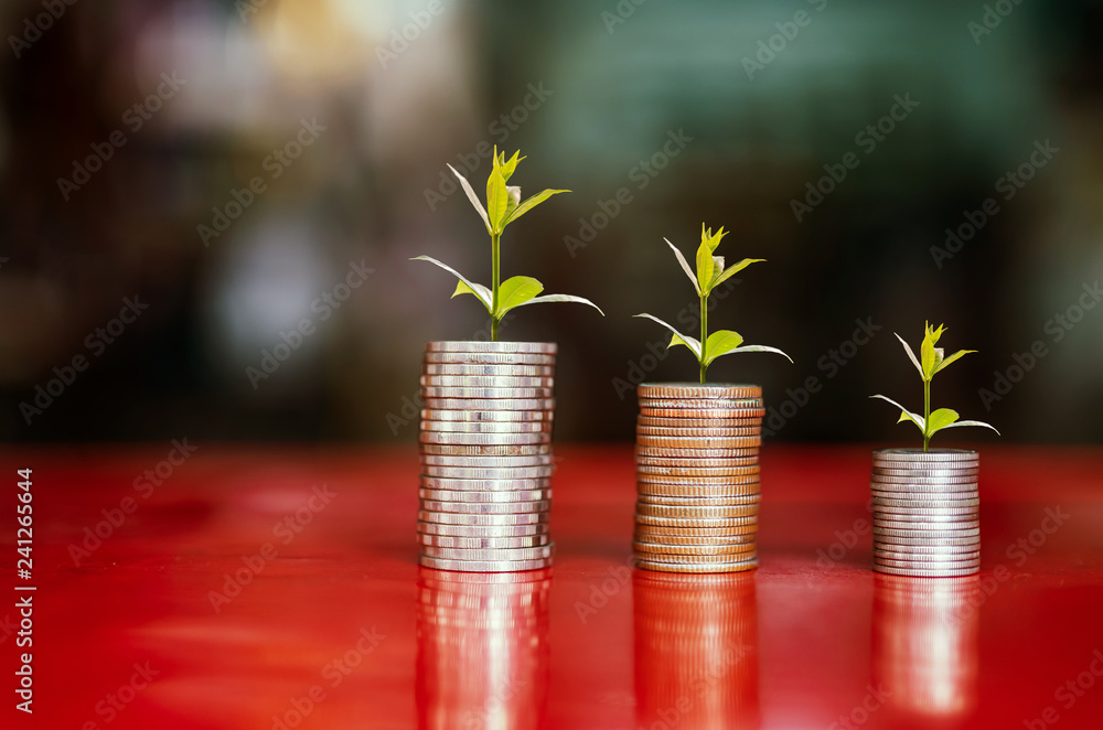 step of coins stacks with tree growing on top, money, saving and investment or family planning concept.