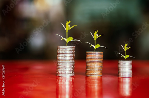 Obraz na płótnie step of coins stacks with tree growing on top, money, saving and investment or family planning concept. w salonie