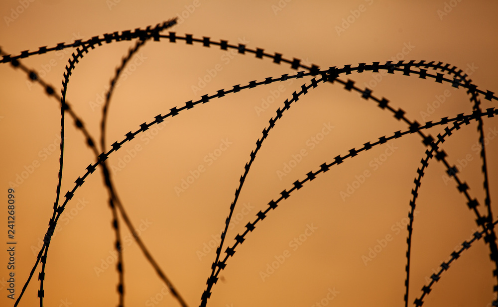 Barbed wire in grunge style process. Barbed wire in grunge style process.