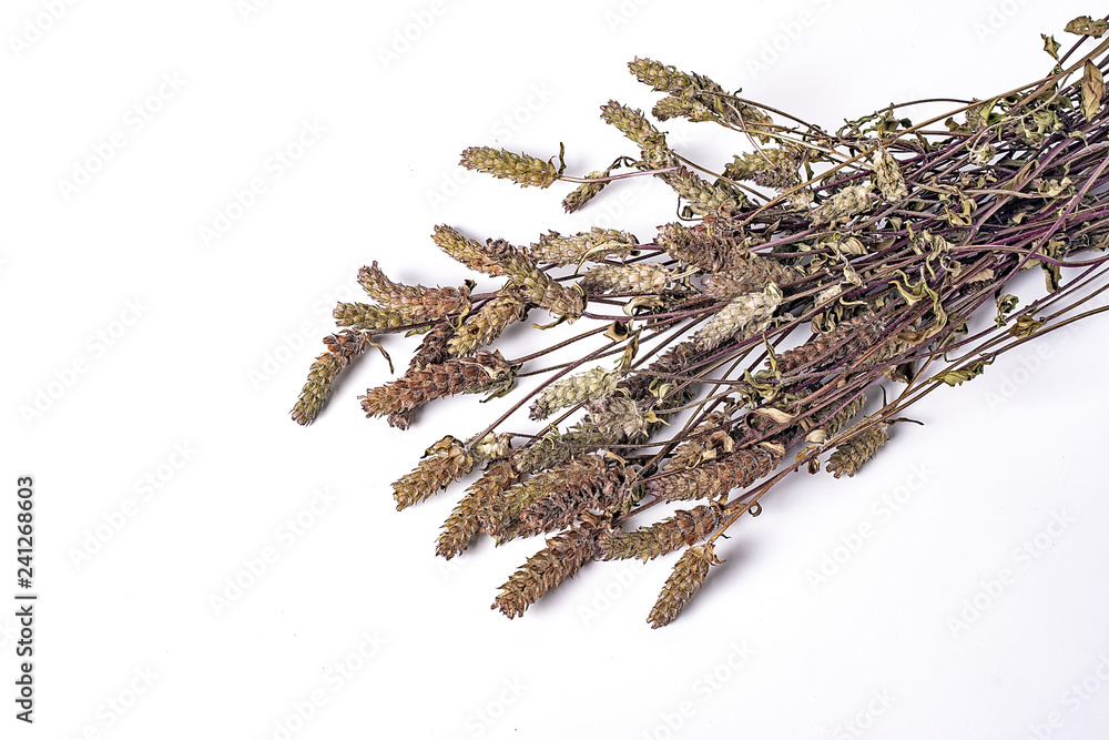 Chinese herbal medicine - Prunella vulgaris / dried Prunella vulgaris on white background