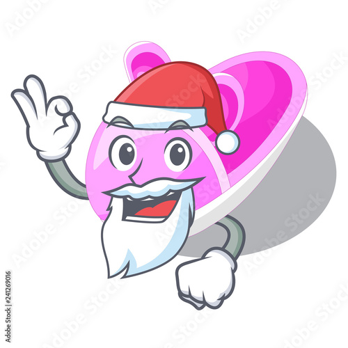 Santa baby shoes isolated in the mascot