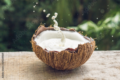 Coconut fruit and milk splash inside it on a background of a palm tree photo