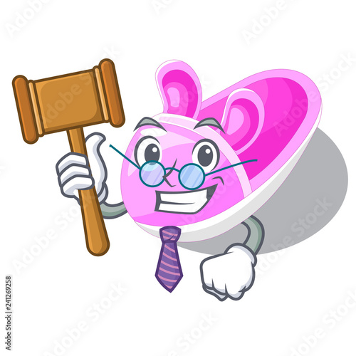 Judge baby shoes isolated in the mascot