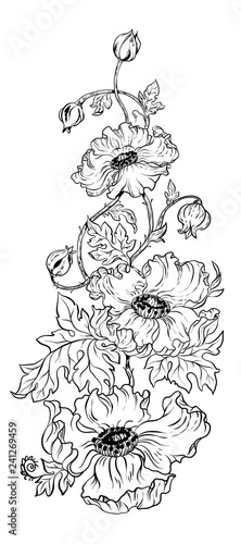 Poppy flowers in vector graphic design illustration