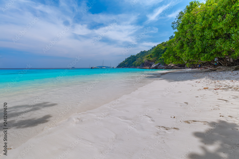 Similan Islands Beautiful tropical sandy beach and lush green foliage on a tropical island ,thailand