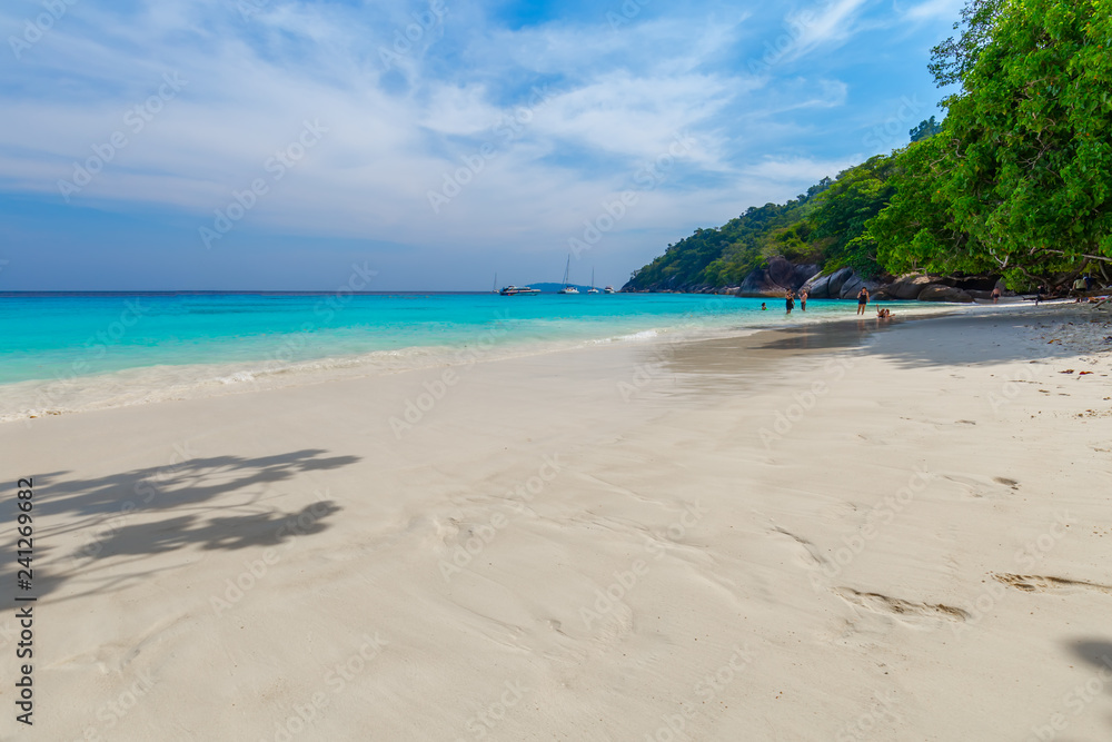 Similan Islands Beautiful tropical sandy beach and lush green foliage on a tropical island ,thailand