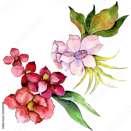 Red and purple floral botanical flower bouquet. Watercolor background set. Isolated bouquets illustration element.