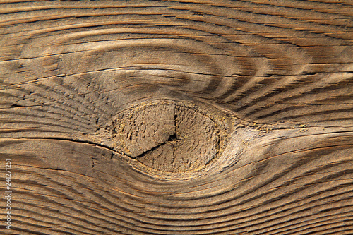 tekstura drewna