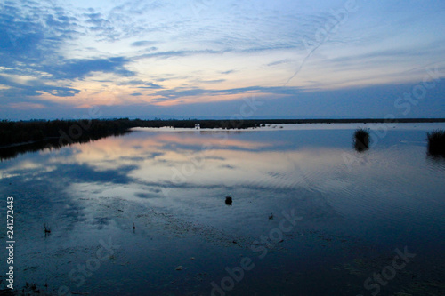 Neusiedler see