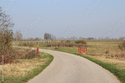 Neusiedler see