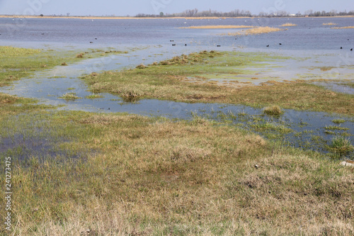 Neusiedler see
