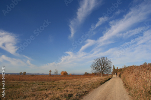 Neusiedler see