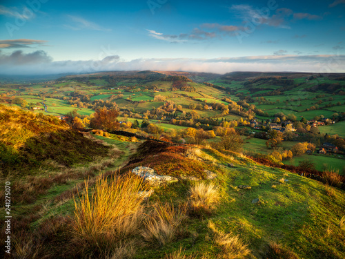 Sunlight Over Rosedale