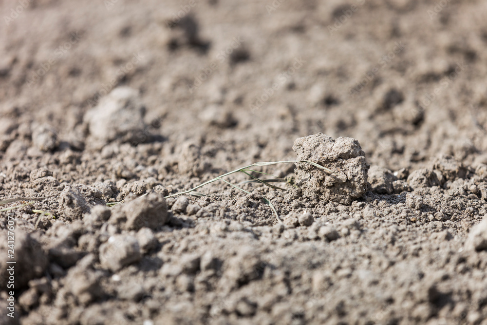 Dried dirt rubble surface with green grass stem sitting lightly on the surface about to be lifted by the wind. Dried dirt rubble surface with green grass stem sitting lightly on the surface about to be lifted by the wind.