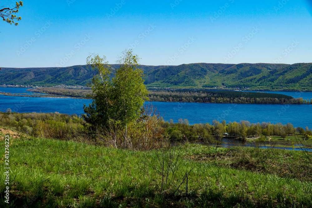 forest, river, mountains, grass, birch, trees, sky forest, river, mountains, grass, birch, trees, sky