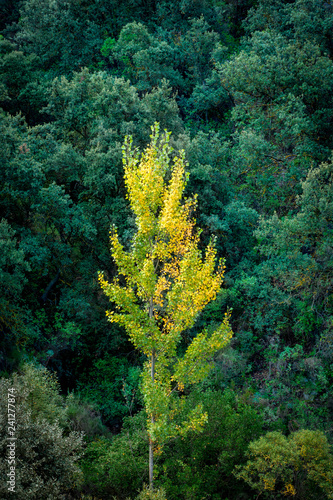 Paisajes de granada,naturaleza.