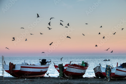 Seagulls flying over boats stranded on the beach with a dramatic background sunset, in Oued Lao, a small fishing village on the coast of the province of Chefchaouen, Morocco