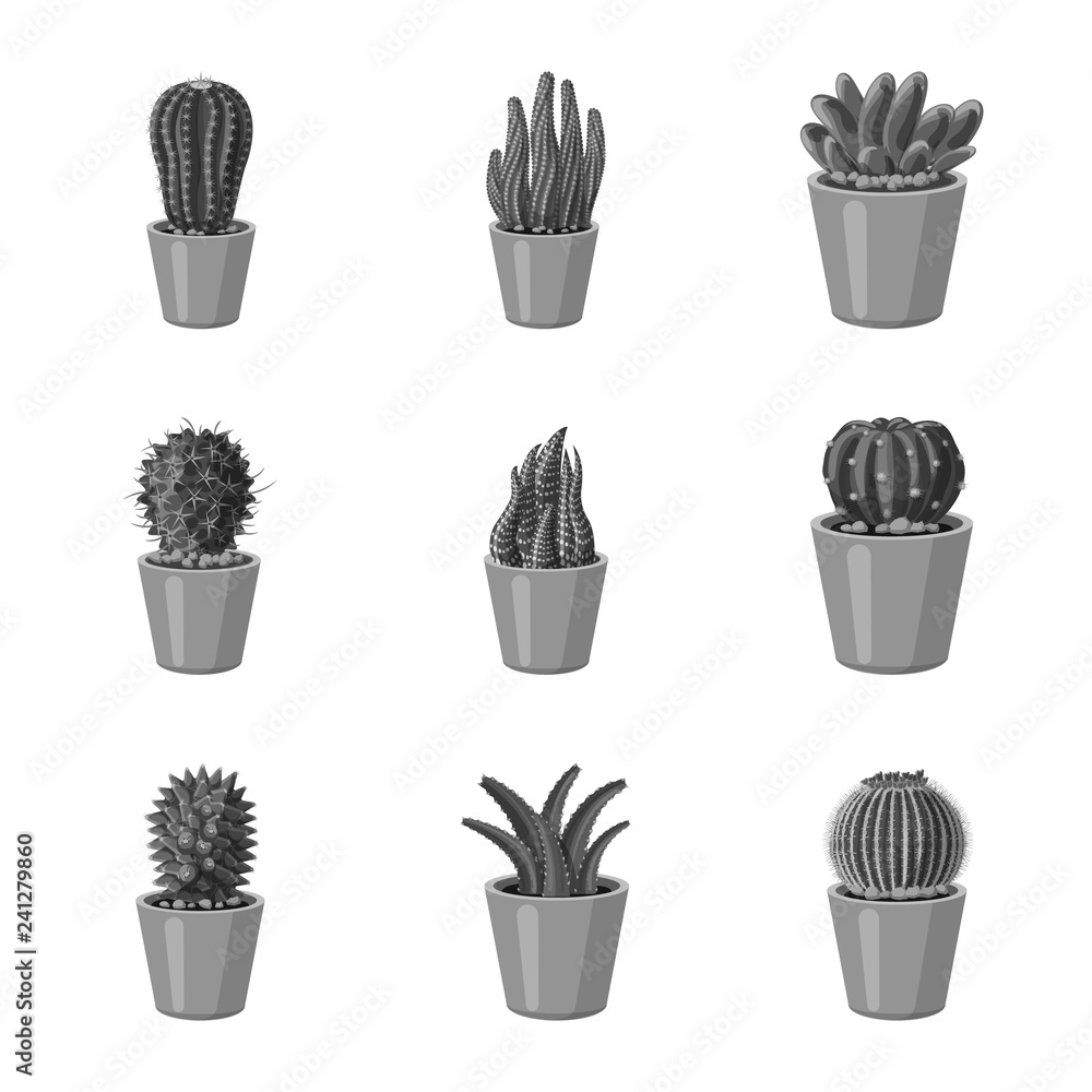 Vector design of cactus and pot symbol. Set of cactus and cacti vector icon for stock. Vector design of cactus and pot symbol. Set of cactus and cacti vector icon for stock.