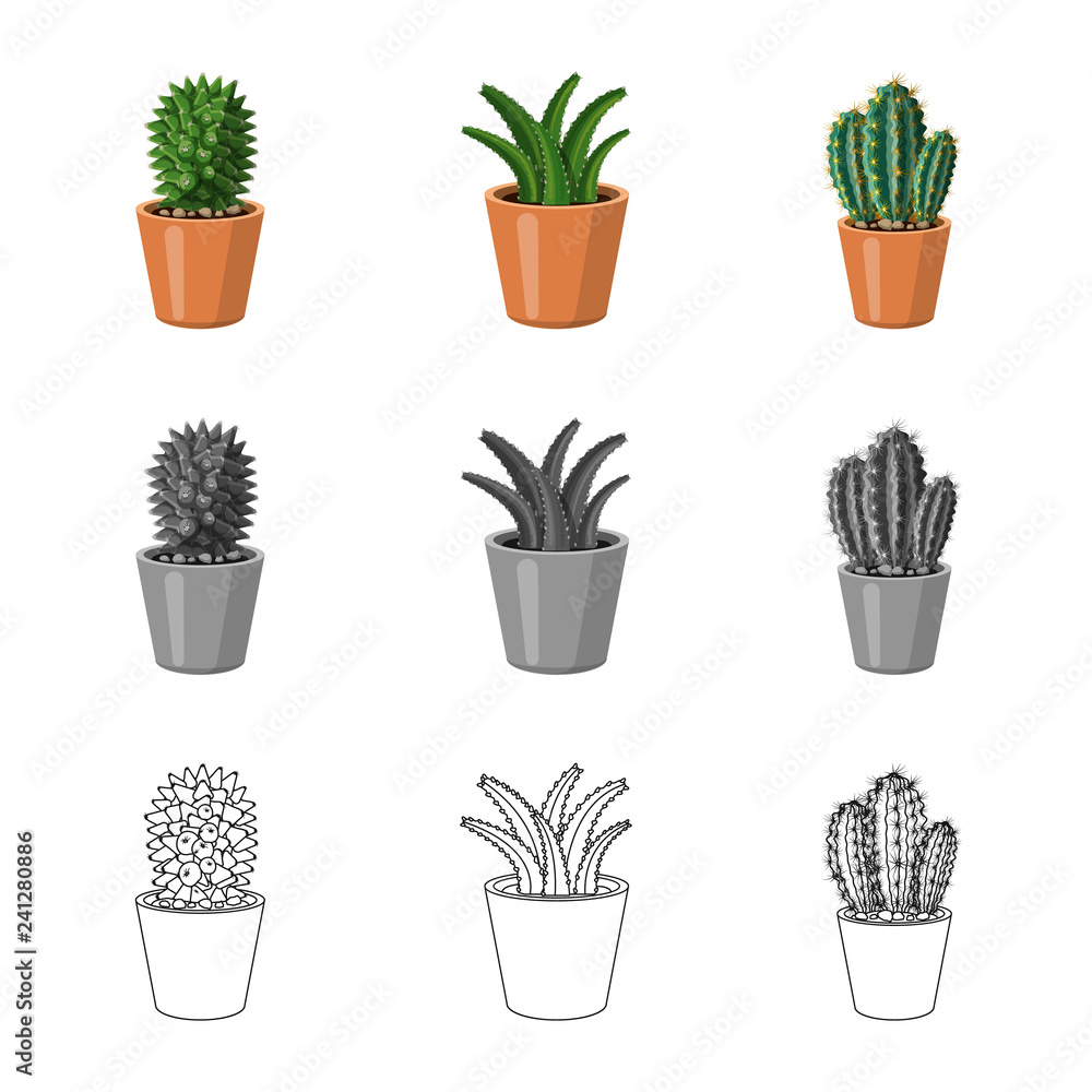 Fototapeta Vector design of cactus and pot icon. Set of cactus and cacti stock symbol for web.