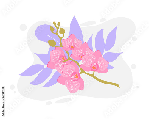 Flower orchid. Vector flower exotic orchid branch
