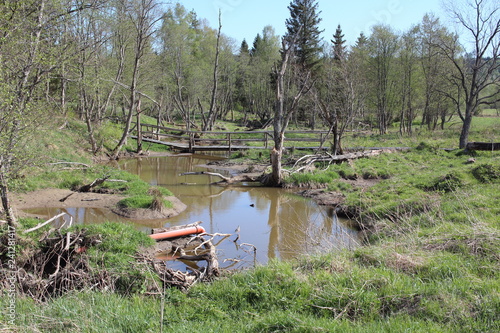 Fototapeta Naklejka Na Ścianę i Meble -  Bieszczady 2018