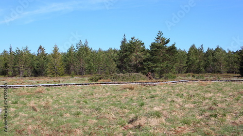 Fototapeta Naklejka Na Ścianę i Meble -  Bieszczady 2018