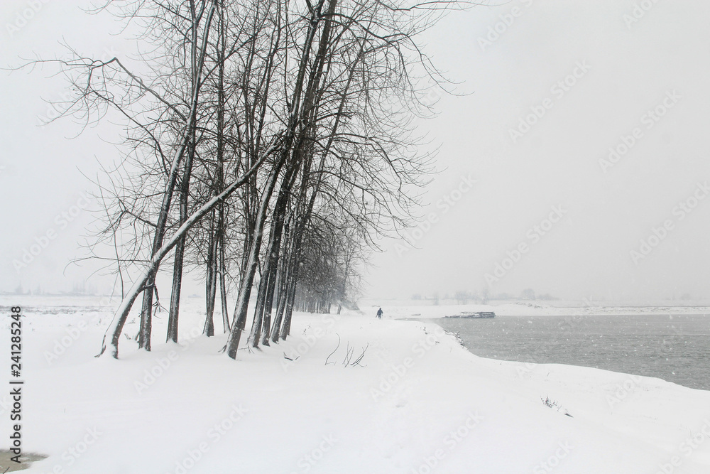 China's inland rivers and lakes in winter China's inland rivers and lakes in winter