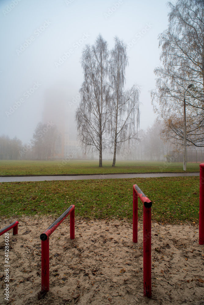 Fototapeta premium single isolated tree in green meadow field in summer