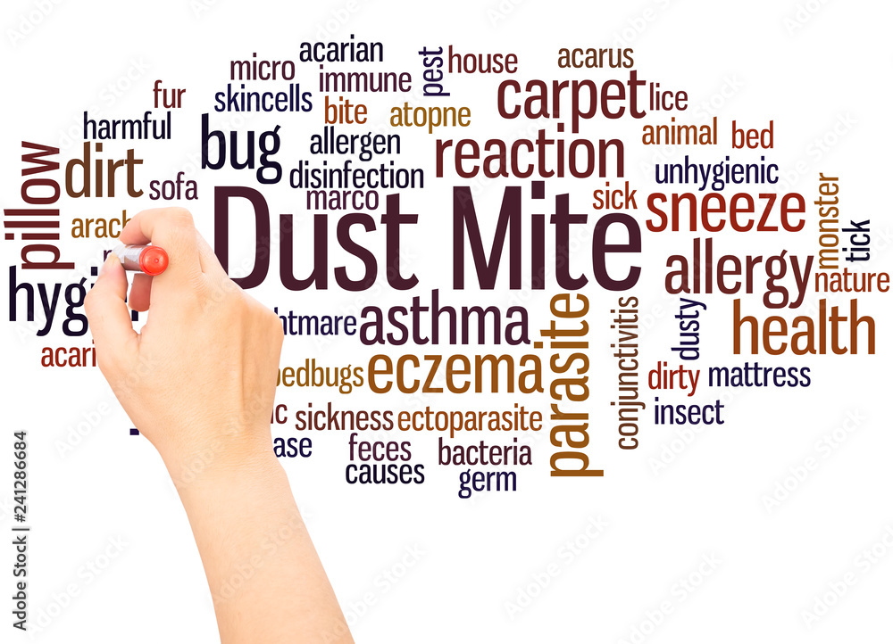 Dust mite word cloud hand writing concept Dust mite word cloud hand writing concept