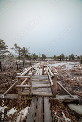 nature trail in swamp in deep snow in winter