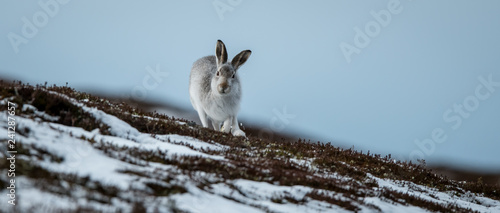 Run to me