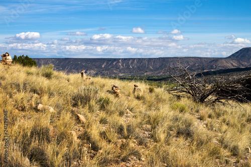 Panorami del New Mexico  USA 