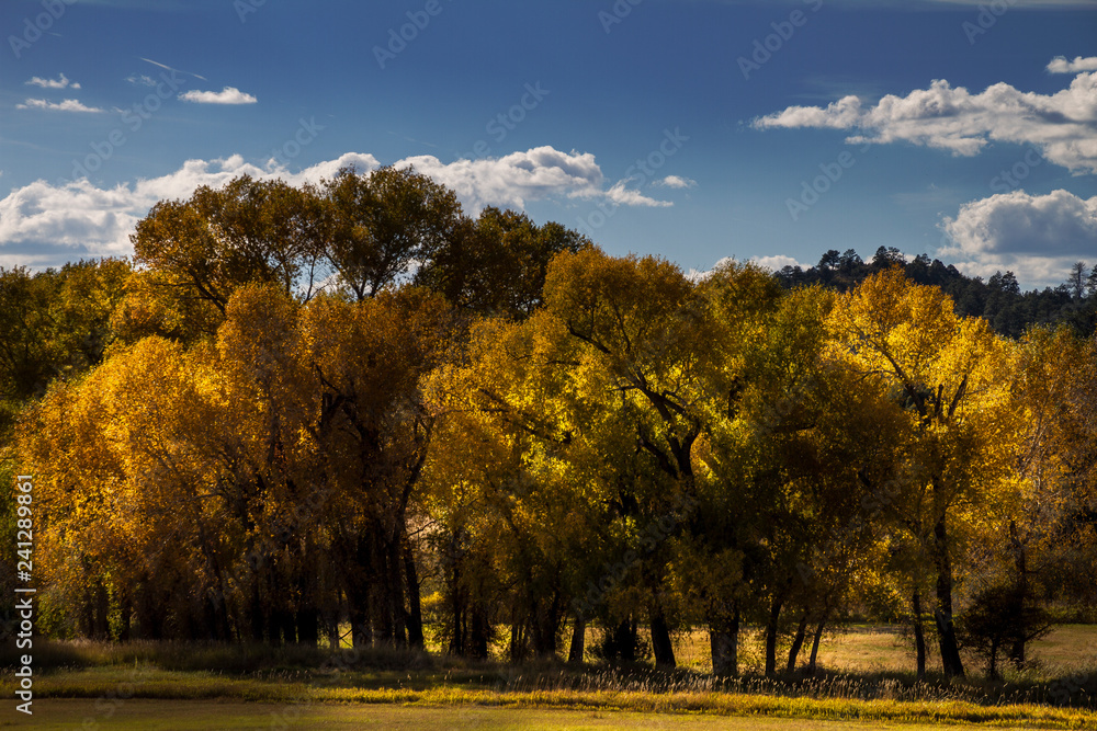 Fototapeta premium Panorami del Colorado (USA)