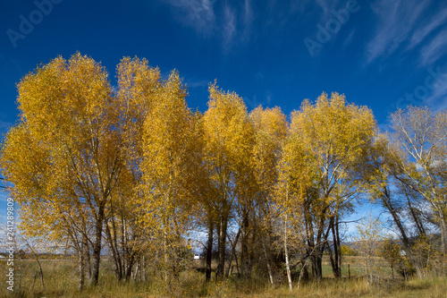 Panorami del Colorado (USA)