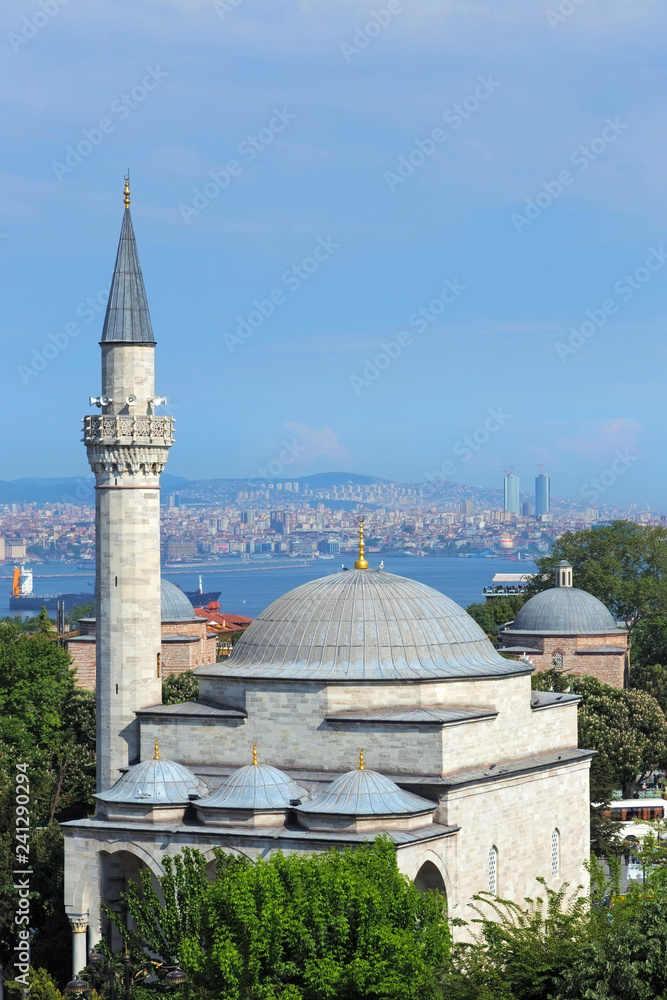 Obraz premium Blue Mosque in Istanbul, Turkey