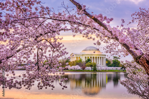 Fototapet Washington DC, USA at the Jefferson Memorial