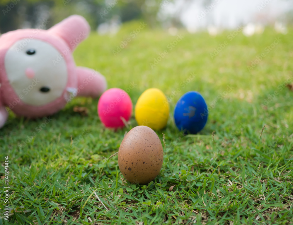 Egg on blur color eggs and blur rabbit toy background, Egg on blur color eggs and blur rabbit toy background,