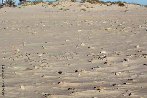 sand beach texture landscape