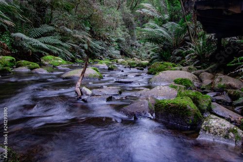 Beauchamp Falls in Victoria, Australia on The Great Ocean Road